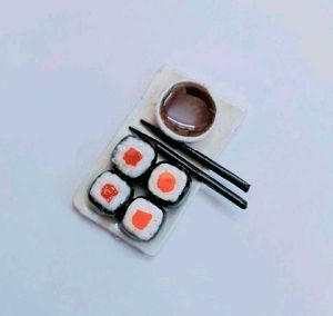 Sushi Fridge Magnet