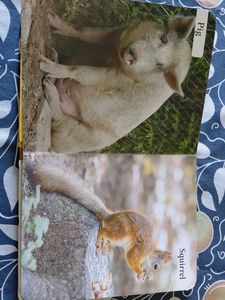 My First Book of Farm Animals