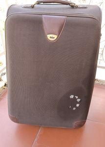 Brown Soft Shell Suitcase With Gold Accent