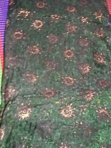 Elegant Green Embellished Saree