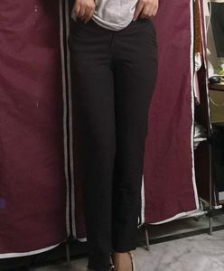 Brown Formal Pants