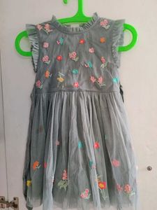 Floral Embroidered Dress