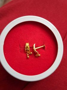 Elegant Gold  Stud Earrings