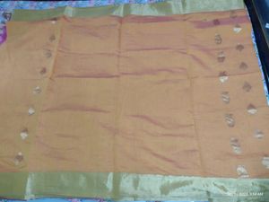 Silk Cotton Saree Without Blouse