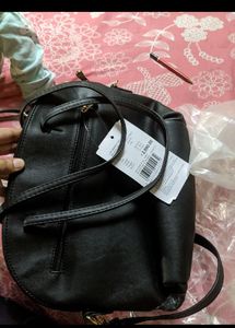 Baggit Bag