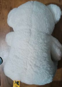 White Teddy Bear Plush Toy