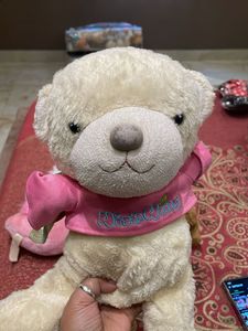 Cute Stuffed Teddy Bear