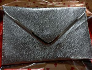 Silver Evening Clutch