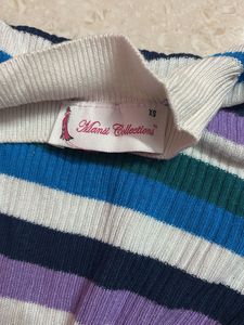 turtle neck ribbed fitted stretchable top