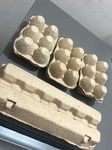 Cardboard Egg Cartons