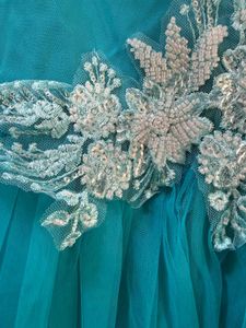 Designer Princess Cinderella Tulle Gown