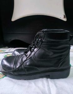 DMS