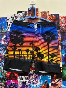 Men's Sunset Palm Tree Swim Shorts