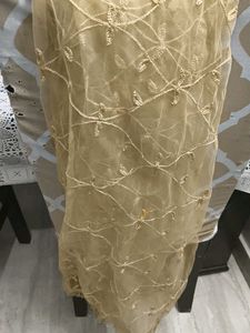 Elegant Embroidered Net Dupatta