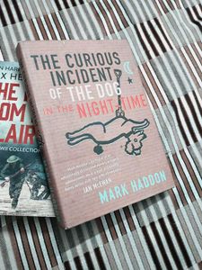 hc Curious Incident of  Dog in the Night-Tim