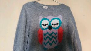 Sweatshirt Or Loose T Shirt
