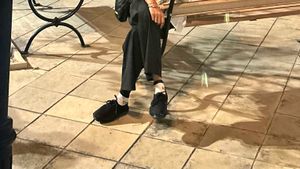 Shoe And Shoks