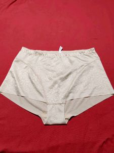Women's Nude Seamless Full Brief Panty | 4XL