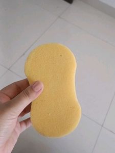 Car Wash Sponge