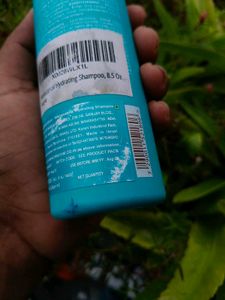 Moroccanoil Hydrating Shampoo