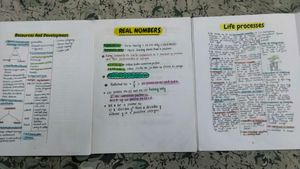 Class 10 Handwritten notes books