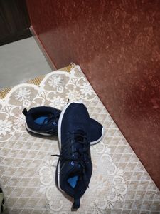 Campus Shoes