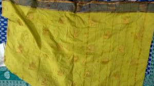 Beautiful chanderi silk  Saree with Gold Print