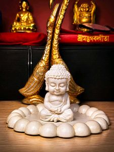 BABY BUDDHA IN A CALM POSITION WITH COASTER
