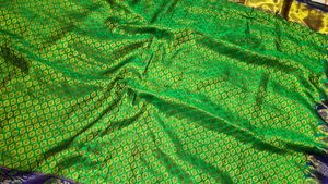 Vibrant Green &amp; Royal Blue Silk Saree