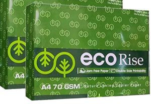 2 Packs of A4 Size Eco Rise paper