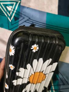 Daisy Print Hard Case Clutch Bag