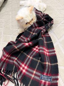 Cozy Plaid Scarf