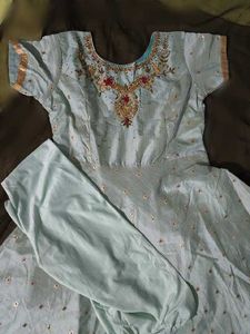 Elegant Light green Embellished Anarkali Dress