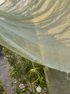 Elegant Light Yellow Dupatta