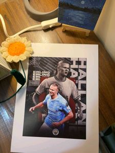 Cristiano Ronaldo &amp; Erling haaland poster
