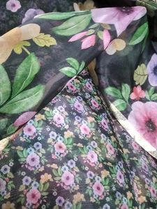 Pure Organza Saree