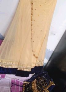 Elegant Cream Embellished Saree