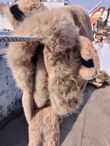 Luxurious Faux Fur Scarf