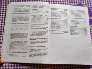 Introductory Economics for Major/Minor Courses
