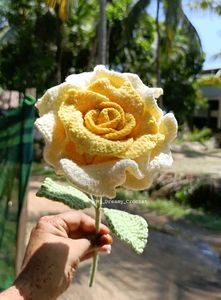 Thai Rose In Yellow