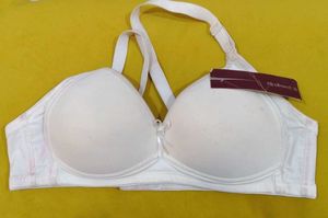 904 --  sample item Padded Bra