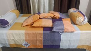 Bedsheet With Coushion And Bolster Covers
