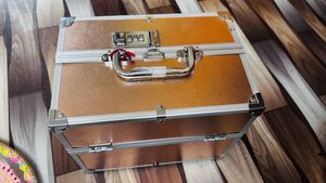 Professional Makeup Train Case