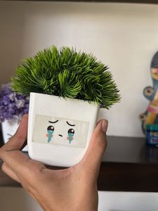 Cute Face Potted Plants (Set of 3)