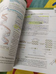 Biology NCERT Textbook Class XII