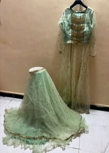 Elegant Mint Green Lehenga Choli