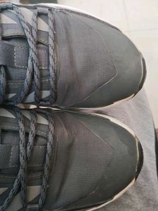Adidas Terrex Trekking Shoes
