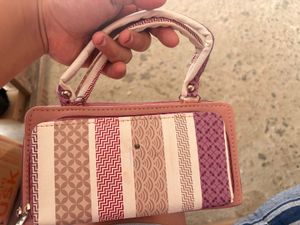Chic Striped Wallet/Bag