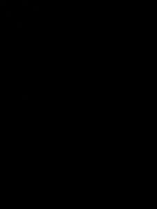CC3