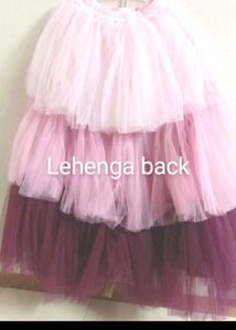 Lehenga Choli Set